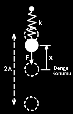 Bu ivme Newton un temel prensibine göre aşağıdaki gibi bulunabilir, FF = mm. aa (5) Cisme yayın uyguladığı geri çağırıcı kuvvet aşağıdaki gibi olacaktır; FF = kk.