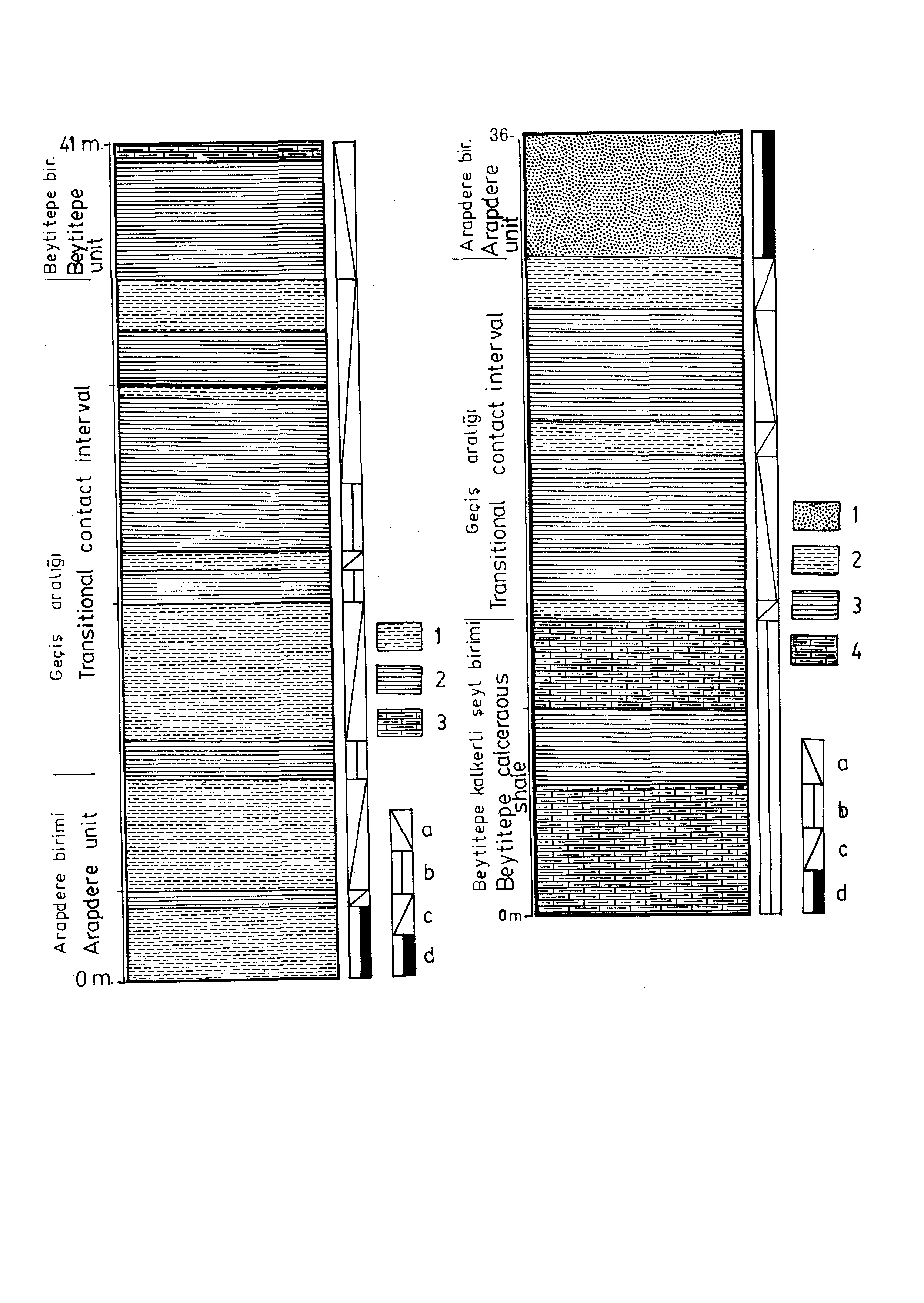 BORNOVA GÜNEYİ FİLİŞ TOPLULUKLARININ JEOLOJİSİ 145 Şekil 5. Beytitepe birimi ve altlayan Arapdere düzeyi arasındaki geçiş aralığı. Yer, Beytitepe doğusu (48.8: 22.3).