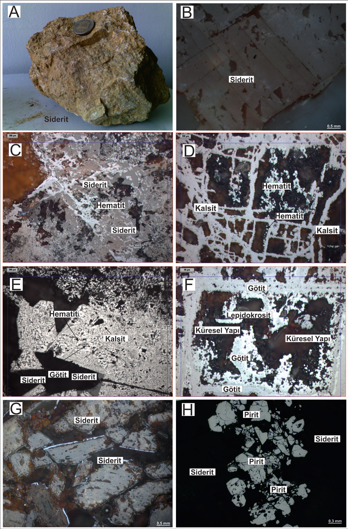 107 Şekil 10. Masif birincil siderit örneklerindeki mineral parajenezi.