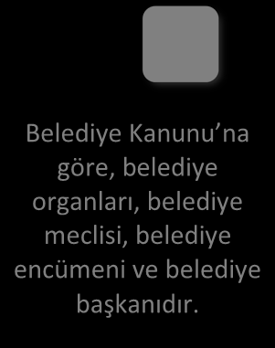 Şehir içi trafik hizmetleri, Defin ve mezarlıklar, Ağaçlandırma, park ve yeşil alanlar, Konut, kültür ve sanat, turizm ve tanıtım, Gençlik ve spor Sosyal Hizmet ve yardım Nikâh, Mesleki beceri