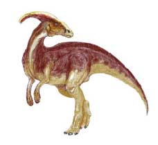 Parasaurolophus (Ad n n anlam "ibikli kertenkele") dinozorlar Protoceratops (Ad n n anlam "ilk boynuzlu yüz") dinozorlar Seismosaurus (Ad n n anlam "yer sarsan kertenkele")