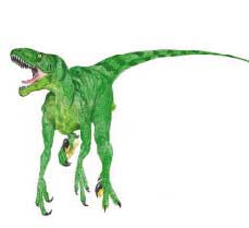 Boy 12 m A rl k 2-4 ton Beslenme biçimi Otçul Yaflad dönem 76-65 milyon y l önce Özellikleri Ördek gagal dinozorlardand. ki baca üzerinde yürürdü.