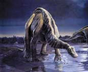 Boy 7-10 m A rl k 3-4 ton Beslenme biçimi Otçul Yaflad dönem 70-65 milyon y l önce Özellikleri Dört baca üzerinde yürürdü. Ön bacaklar arkadakilerden k sayd.