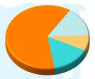 C=2% B=19% Y=4% W=5% South Africa 29 2008