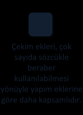 Yani köklerden daha geniş gövdeler yaptıkları gibi kök ve gövdelere sıfat, zarf, fiilimsi gibi işlevler de katarlar. Türkçe sondan eklemeli bir dildir. Bu sebeple ekler sözcüğün sonuna gelir.