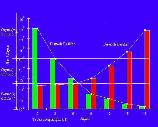 Düşüş