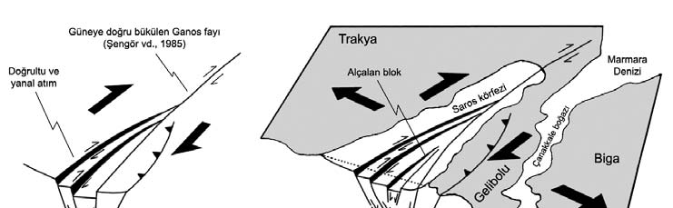 Pliyosen de meydana gelen tektonik hareketlerin etkisi ile ada genelinde jeolojik formasyonlar güneye doğru dalımlı bir durum almış ve jeomorfolojik olarak adada kuzey-güney yönlü bir asimetri