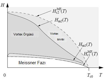 4. BULGULAR VE TARTIŞMA Sultan DEMİRDİŞ Alternatif olarak direk GL-Hamiltonien ninden başlayabiliriz ve MF Hc2 dolaylarındaki dalgalanma düzeltmelerini inceleyebiliriz (Lee ve Shenoy, 1972, Bray,
