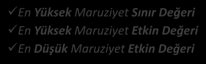 8h=85dB(A) - Ppeak=140Pa : LEX, 8h=80dB(A) - Ppeak=112Pa AÇIKLAMA Hiçbir koşulda aşılmayacak (EYSD) : 87 (KKD koruması dikkate alınır) Kulak koruyucuları kullanılacak (EYED) : 85 (KKD koruması