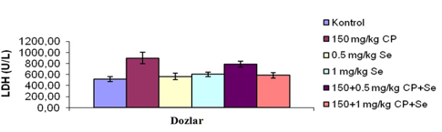 Histolojik Bulgular Histolojik inceleme sonuçlarına göre; kontrol grubu, 0.5 veya 1 mg/kg Se verilen grupların karaciğer dokularında normal histolojik görünüm saptandı (Şekil 5).