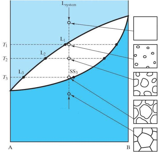 Sıcaklık Belirli bir bileşimdeki alaşımın(sistem) sıvı halden itibaren soğuması sırasındaki içyapıları S, Sıvı T B Sıvı Tamamen