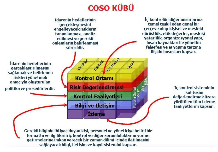 Şema-1 Avrupa Birliği, kamu iç mali kontrol alanında COSO nun standartlarını benimsemiştir.