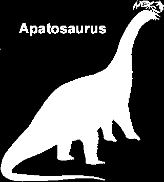 Brachiosaurus, Her türlü