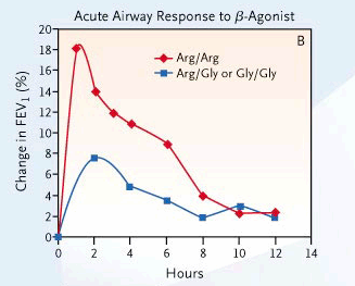 Albuterol ile FEV 1 de oluşan artma Arg16 homozigot hastalarda Gly taşıyıcılarına göre daha fazla ve