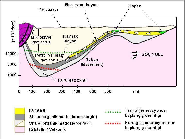 olan petrol arasında karbon zincirleri açısından farklılıklar vardır. Şekil 1 de bir petrol sisteminin; profili, kaynak ve rezervuar kayaçlar, kapanlar ve göç yolları arasındaki ilişki görülmektedir.