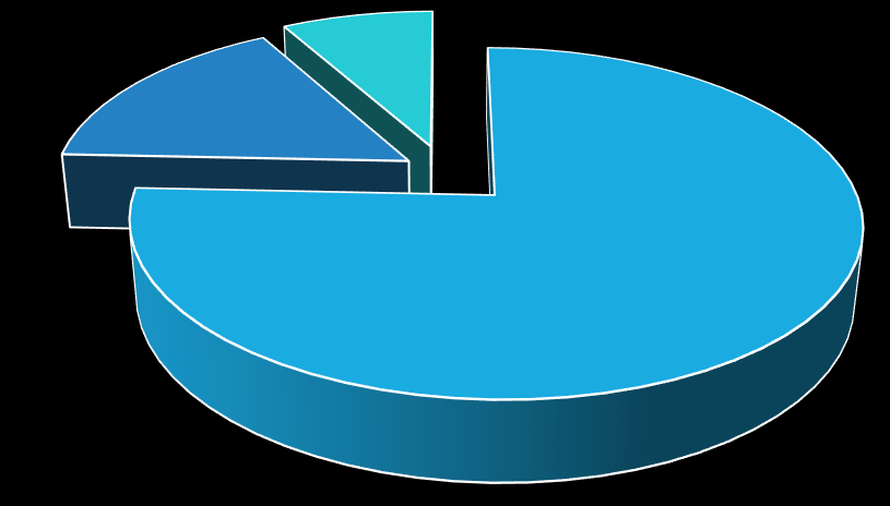 25 İşçi; 8% Sözleşmeli Personel; 16% Memur; 76% GRAFİK 1 NDE MEVCUT KADRO SAYILARI Avcılar Belediyesi