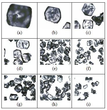ġekil A.28: BD1-A913-1 ile elde edilen kristallerin elek boyutuna göre resimleri.