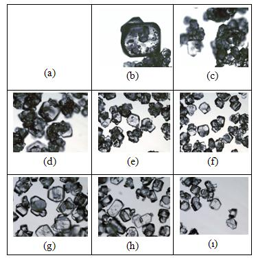 ġekil A.30: BD1-A913-25 ile elde edilen kristallerin elek boyutuna göre resimleri.