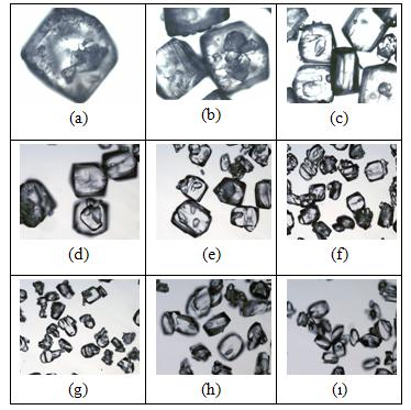 ġekil A.36: BD1-O01 ile elde edilen kristallerin elek boyutuna göre resimleri.