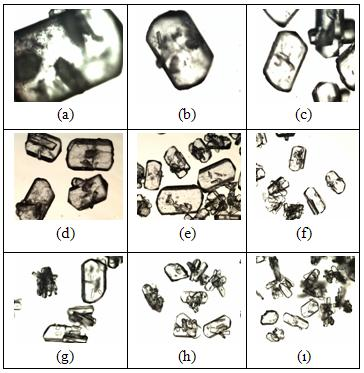 EK A MĠKROSKOBĠK ANALĠZ RESĠMLERĠ Mikroskobik analiz yapılarak kristallerin her bir elek dağılımı için resimleri çekilmiştir. Image ProPlus 5.