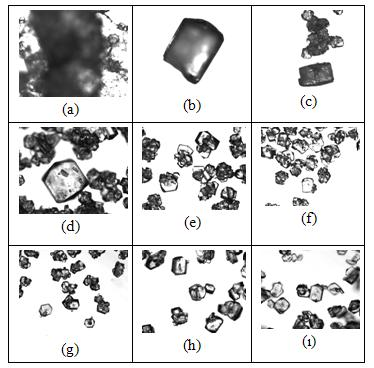 ġekil A.17: BD1-C1,5 ile elde edilen kristallerin elek boyutuna göre resimleri.