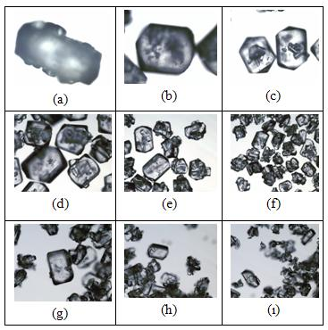 ġekil A.20: BD1-M1 ile elde edilen kristallerin elek boyutuna göre resimleri.