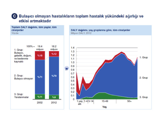 %71 i iken 2012 yılında bu oranın %79 a çıktığını göstermiştir (Basara, 2013)(şekil 1).