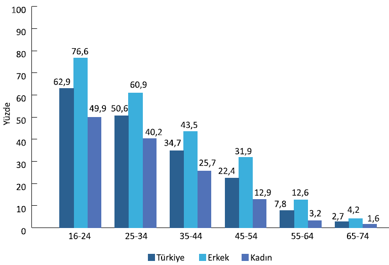 ġekil 1: Yaş Grupları İtibarıyla İnternet Kullanımı, 2010 Kaynak: DPT Bilgi Toplumu İstatistikleri 2011, s. 19.