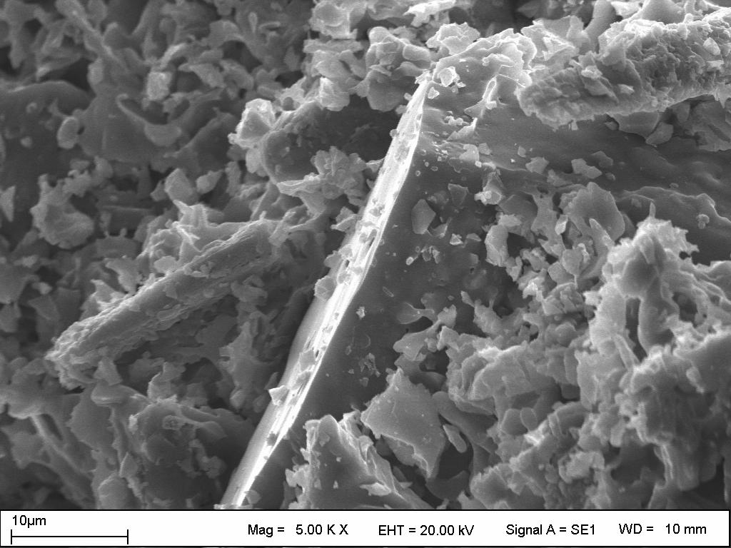 vollastonitli seramik tabletinin SEM görüntüleri incelendiğinde mullit ve vollastonit kristallerinin belirginleştiği