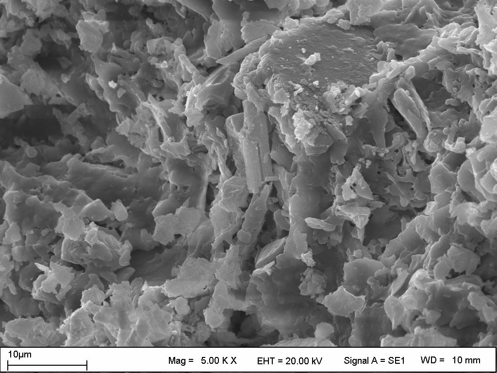 da verilen HW 10-1 (133) kodlu %10 oranında 1000 C pişirilen ham vollastonitli seramik tabletlerin SEM görüntüleri,