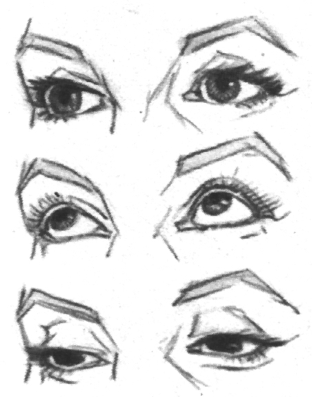Resim 2.17: Başın dönüşünde iki göz arasındaki fark Bize yakın olan göz karşıdan görünüşüne, diğeri ise profildeki görünüşüne, benzer.