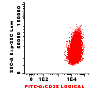 SSC SSC CD38-FITC CD38-FITC