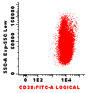 CD38-FITC CD38-FITC Merge PC MOST