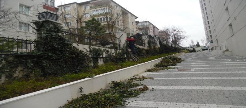 Park ve Bahçeler Müdürlüğünce yapılan görüşmeler