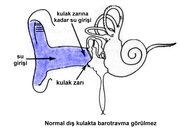 Üniversitesi Tıp