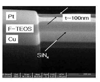 Şekil 2.6 2-D olarak sınıflandırılmış platinyum nanokaplamanın taramalı elektron mikroskop görüntüsü Üç boyutlu (3-D) nanomalzemeler külçe olarak bilinmektedir.