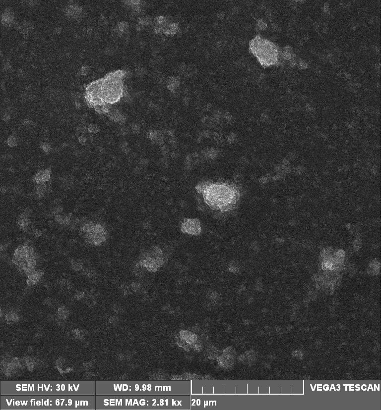 Şekil 4.9 % 20 TiO 2 içeren nanokompozit malzemedeki TiO 2 nanoparçacıkların SEM görüntüsü 4.