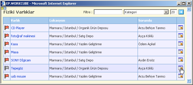 İlk boş alan kullanılarak fiziki varlık adlarına göre arama yapılabilir. Kategori alanı ise fiziki varlıkları kategorilerine göre listelemeye olanak tanır.