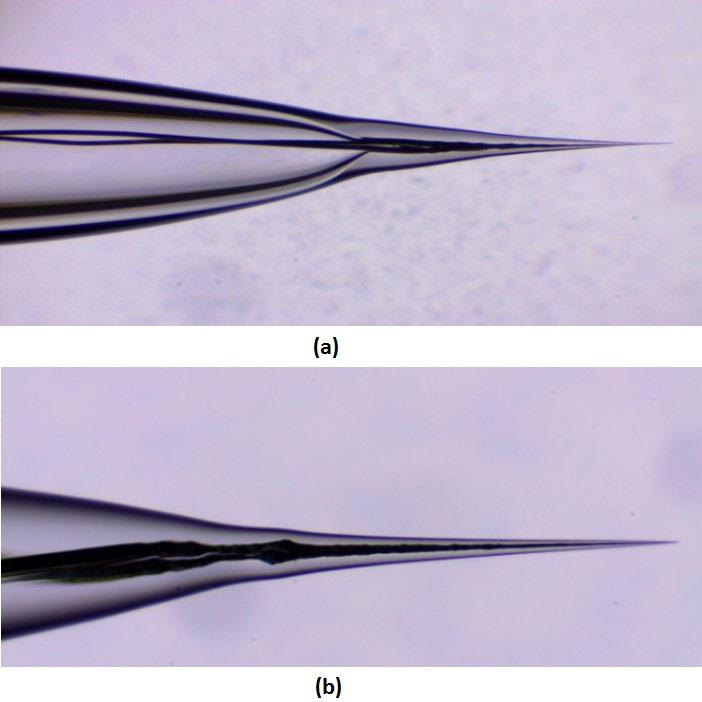 51 Resim 4.6. İkili platin nanoelektrotların çekme işleminden sonraki mikroskop görüntüleri.