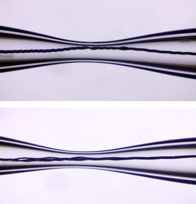 52 Resim 4.7. Üçlü platin nanoelektrodun inceltme işleminden sonraki mikroskop görüntüsü.