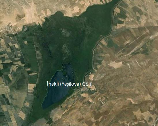 ġekil 3.7 Ġnekli (YeĢilova) Gölü uydu görüntüsü (Google earth 20