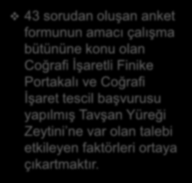 AMPİRİK ANALİZ Antalya kent merkezinde gerçekleştirilen saha çalışması ile toplanan birincil veriler