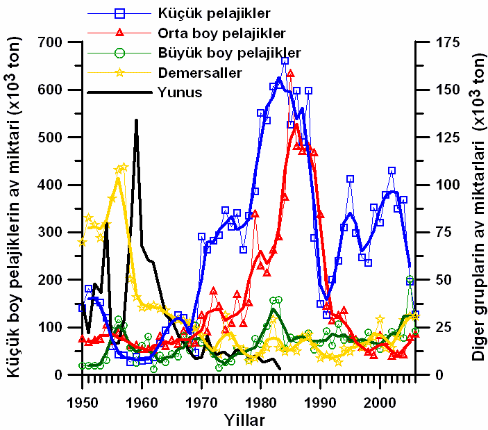 Bulgular Karadeniz deki pelajik balıkların yıllık toplam av miktarları 1950 2006 dönemi için 30 cm'den küçük pelajikler (hamsi Engraulis encrasicolus, çaça Sprattus sprattus, istavrit Trachurus spp,