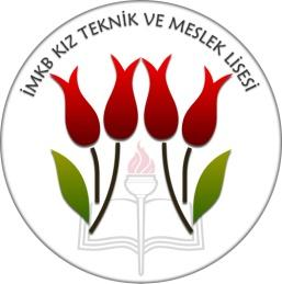 Mesleki ve Teknik Anadolu Lisesi