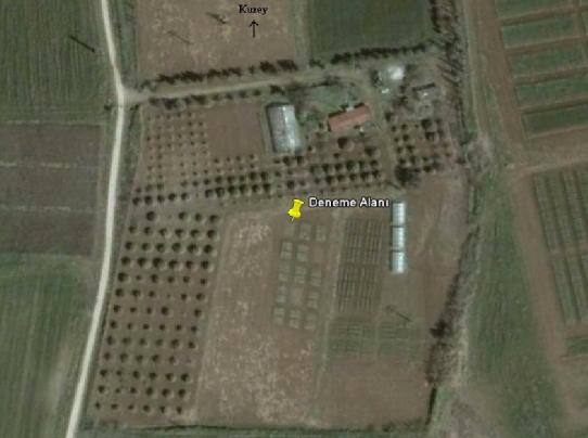 3.MATERYAL VE METOD Çağdaş AKPINAR Şekil 3.2. Deneme alanının uydu (Google Earth) görüntüsü 3.1.3. Deneme Topraklarının Özellikleri Deneme öncesinde, saksı ve tarla denemesinde kullanılan toprağın