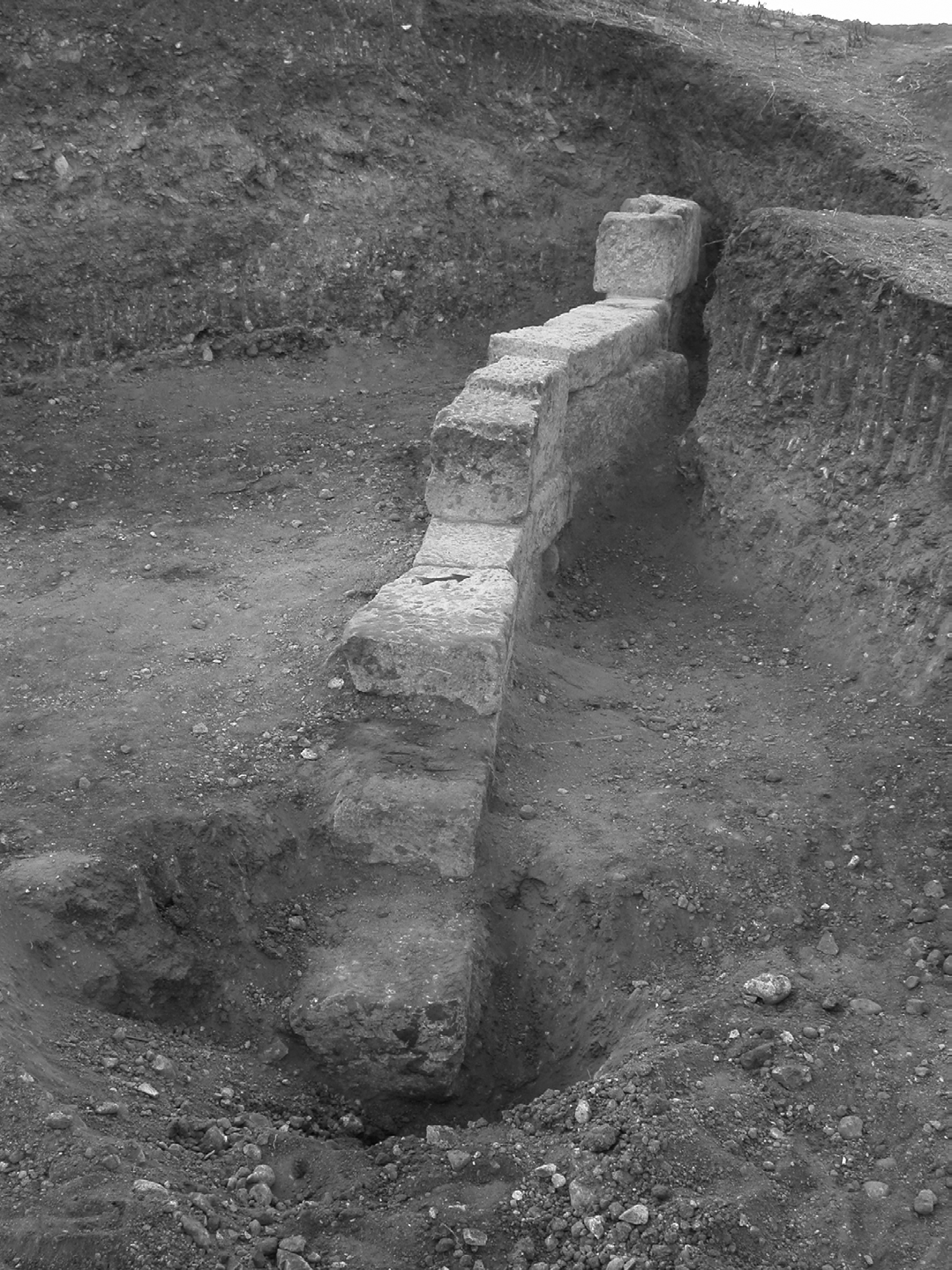 212 Yerbilimleri Şekil 5. A1 alanında önerilen kazı sonucunda ortaya çıkarılan duvar. Figure 5. The wall excavated at the suggested location at A1 site.
