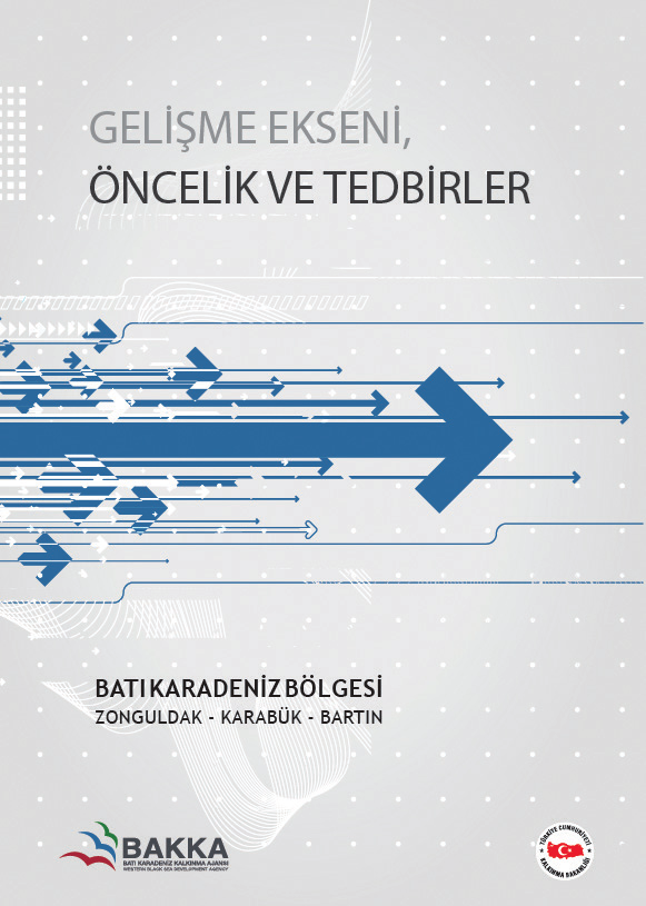 BAKKA yukarıda sayılan amaca uygun olarak 2012, 2013, 2014 ve 2015 yıllarında toplam dört adet teknik destek programı yürütmüştür ve desteklerine 2016 yılı içerisinde de 300.