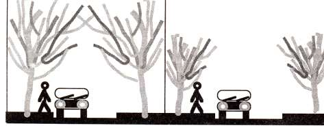 Me kan et kisi: Yol ağaçları nı n mekan et kisi horizont al ve vertikal olarak ol uşur.