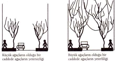 Tr etuvar üzeri nde di kilen ağaçl arı n yapılara da fazla yakı n ol ma ması gerekir. Bu konuda asgari 3 m. lik bir uzaklı k öngör ülmeli dir.