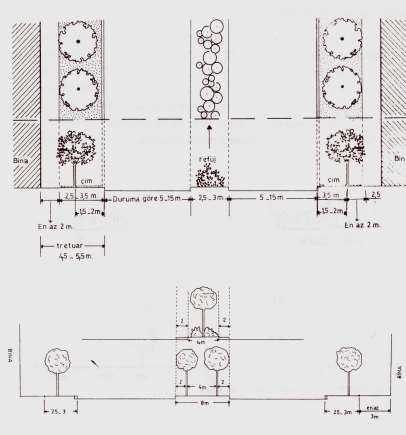 Tr et uvar kenarı ndan di ğer tret uvar kenarı na mesafesi 6 m olan dar bir yol kesiti ve ağaçl arı n konumu (